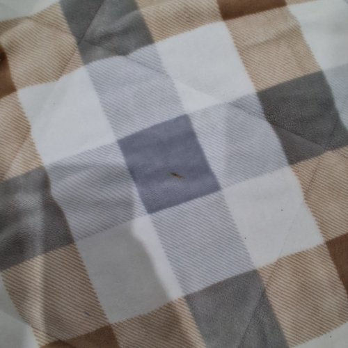 ROOTS HOME REVERSIBLE SHERPA COMFORTER - QUEEN - GREY/BROWN PLAID image 6