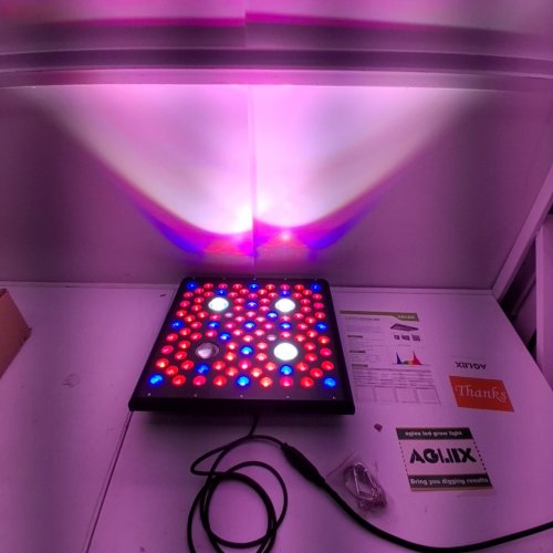 AGLEX 2000 WATT LED GROW LIGHT, FULL SPECTRUM UV IR COB SERIES PLANT GROW LAMP image 2