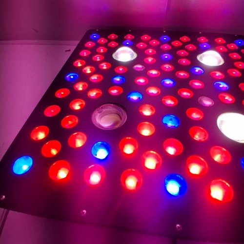 AGLEX 2000 WATT LED GROW LIGHT, FULL SPECTRUM UV IR COB SERIES PLANT GROW LAMP image 3