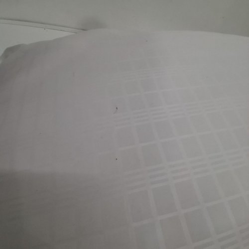 MAINSTAYS COMFORT COMPLETE PILLOW- STANDARD- WHITE image 3