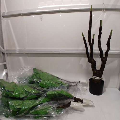 ARTIFICIAL FIDDLE LEAF FIG TREE - 8FT - GREEN image 2
