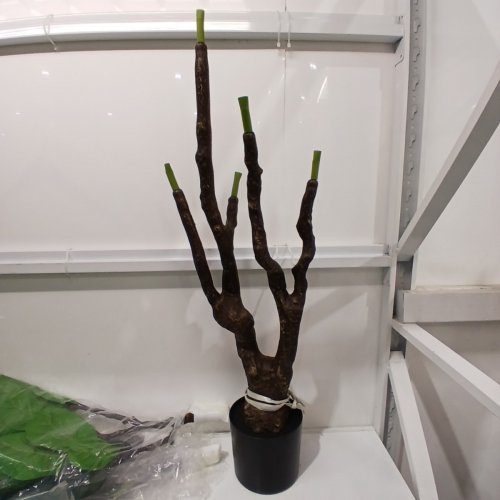 ARTIFICIAL FIDDLE LEAF FIG TREE - 8FT - GREEN image 3