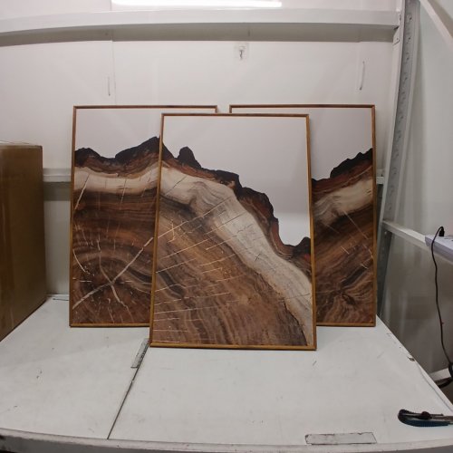 3PC TREE RINGS FRAMED WALL ART - 23" X 35" - BROWN image 2