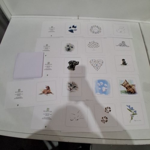 20PK SARAH BROWN CARDS MIXED PET SYMPATHY CARDS - MULTI COLOURED image 3