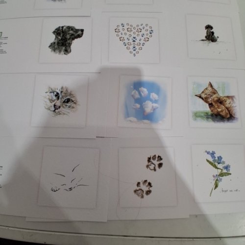 20PK SARAH BROWN CARDS MIXED PET SYMPATHY CARDS - MULTI COLOURED image 6
