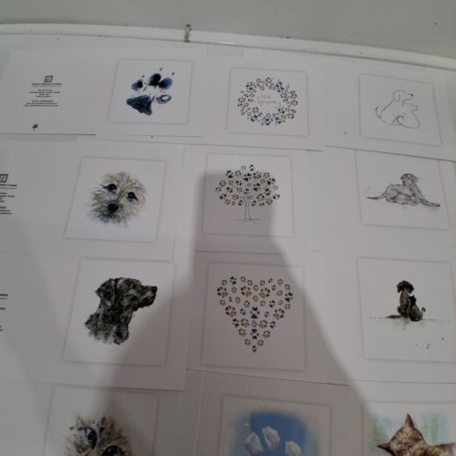 20PK SARAH BROWN CARDS MIXED PET SYMPATHY CARDS - MULTI COLOURED image 7