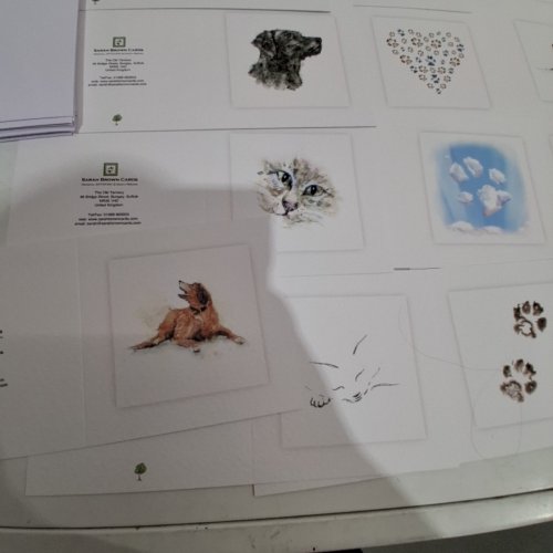 20PK SARAH BROWN CARDS MIXED PET SYMPATHY CARDS - MULTI COLOURED image 8