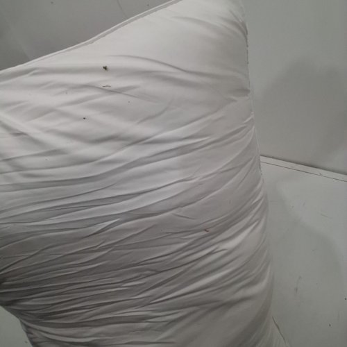 MELLOW COOLING PLOOF PILLOW - REGULAR 20" X 26" - WHITE image 4