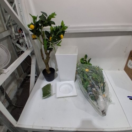 DR.PLANCEN ARTIFICIAL LEMON TREE 5FT (MODEL:OLFNMS1.5M-1) image 2