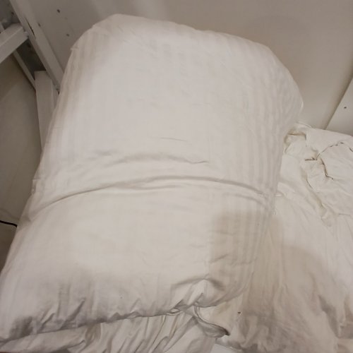 AVOCADO 100% ORGANIC COTTON WHITE GOOSE DOWN DUVET - KING - WHITE (STYLE: 3684901) image 3