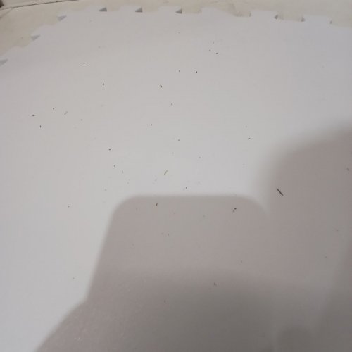 10PK HOCKEYSHOT DRYLAND ALLSTAR SYNTHETIC ICE TILES FOR HOCKEY PRACTICE - 18"X18" image 3