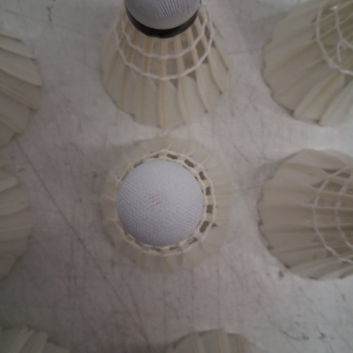 12PK BADMINTON GOOSE FEATHER HIGHT SPEED SHUTTLECOCKS - WHITE image 3