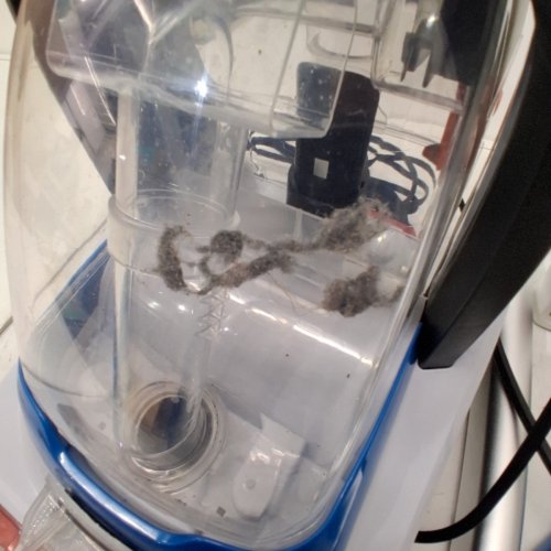 HOOVER CORDED POWERDASH PET COMPACT LIGHTWEIGHT CARPET CLEANER - WHITE/BLUE (MODEL: FH50700V) image 4