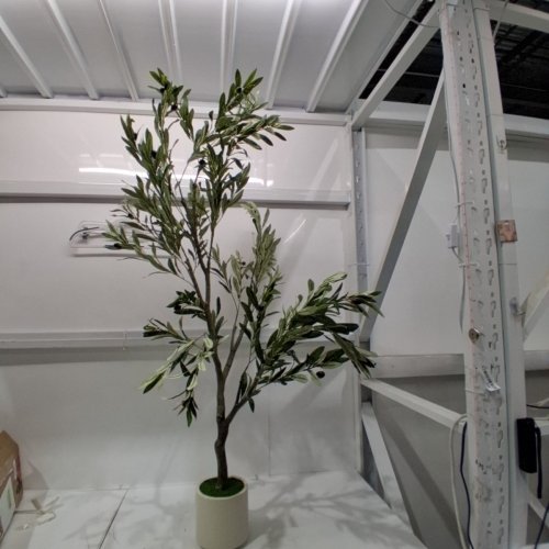 ARTIFICIAL OLIVE TREE WITH POT - 5FT - GREEN/WHITE image 2