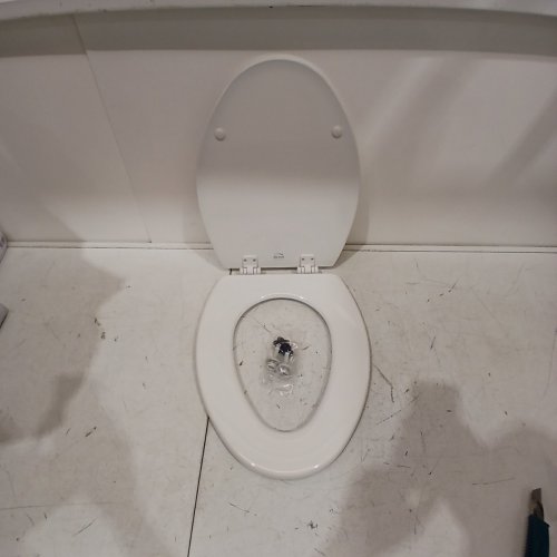 BEMIS LIFT-OFF ELONGATED ENAMELED WOOD TOILET SEAT - COTTON WHITE (MODEL: 1500EC 000) image 2