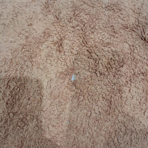 SAFAVIEH EASY CARE COLLECTION ROUND AREA RUG - 5FT - RUST / IVORY (MODEL: ECR201P-5R) image 4