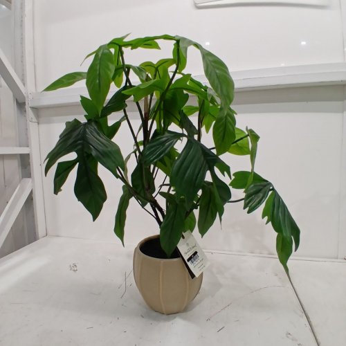 HEARTH AND HAND LARGE PHILODENDRON PLANT IN DECORATIVE POT -BEIGE/GREEN image 3