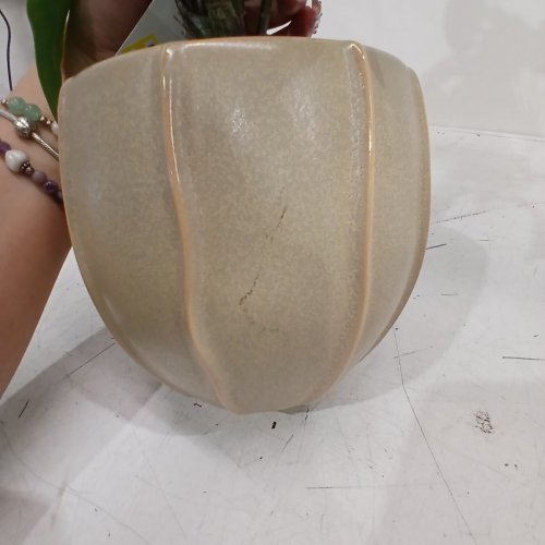 HEARTH AND HAND LARGE PHILODENDRON PLANT IN DECORATIVE POT -BEIGE/GREEN image 5
