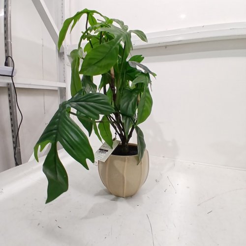 HEARTH AND HAND LARGE PHILODENDRON PLANT IN DECORATIVE POT -BEIGE/GREEN image 7
