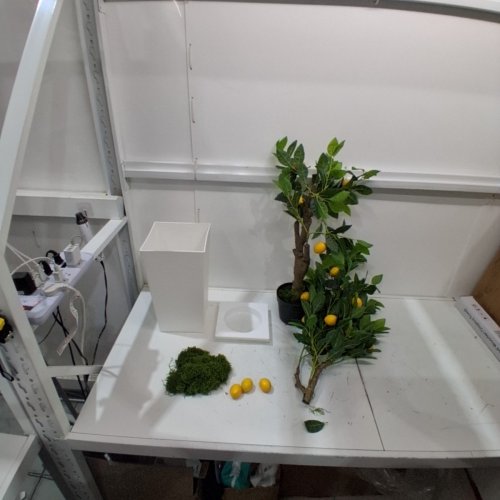 PHYTREE ARTIFICIAL LEMON TREE - 5FT image 2