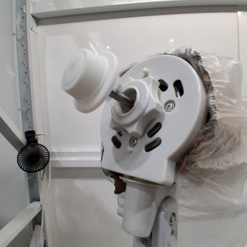 TOOLTECH 3-SPEED OSCILLATING PEDESTAL FAN - 16" - WHITE (MODEL: 100077) image 4