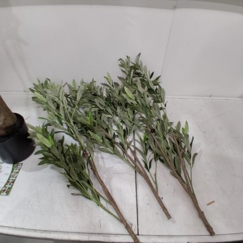 ARTIFICIAL REALISTIC OLIVE TREE - 6FT image 3
