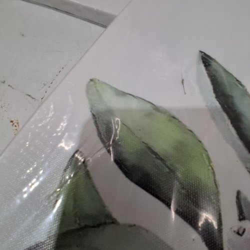 3PC CANVAS FLOWER PAINTINGS - 12" X 16" - WHITE/GREEN image 3