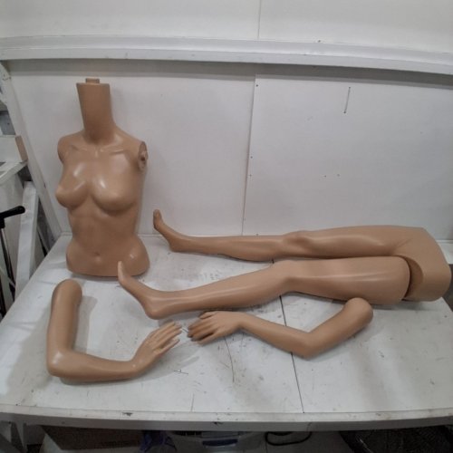 SERENELIFE FEMALE FORM-DETACHABLE FULL BODY MANNEQUIN - 68" - NUDE image 2