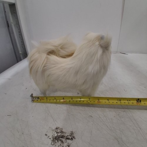 FAUX POMERANIAIN REALISTIC DOG MODEL - 10" - WHITE image 5