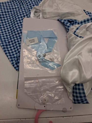 3PC RUBIES WIDARD OF OZ DOROTHY COSTUME - LARGE (10-12) - BLUE AND WHITE image 3