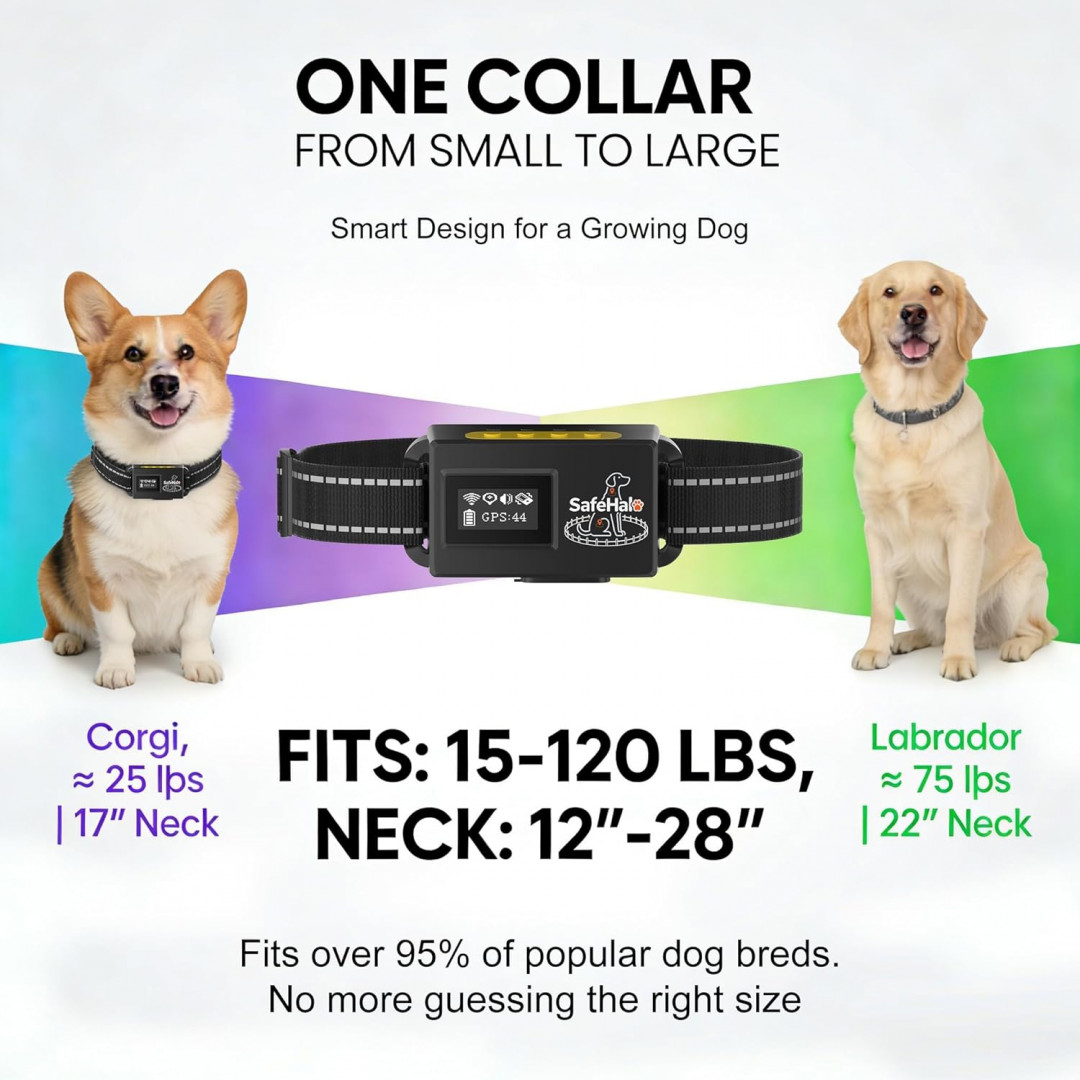 2pk safehalo gps electric wireless dog Fence System - 65ft - 9840 ft/ 12"-28" - black/orange (model: h09) image 2