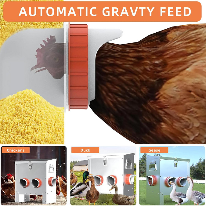 Asrjkie 10 Port Weatherproof Automatic Chicken Feeder - HOLDS 85LBs FEED - silver image 2