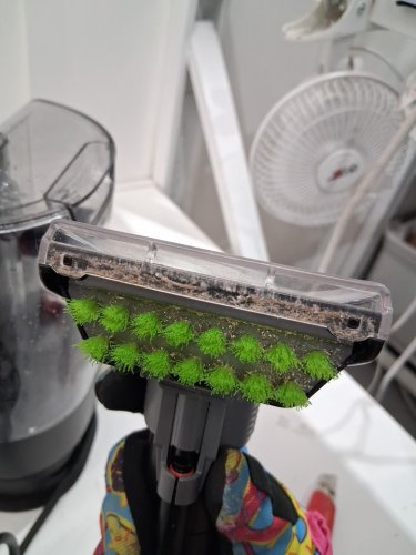 bissell little green pet max portable Deep carpet cleaner - black/green (model: 3860B) image 7