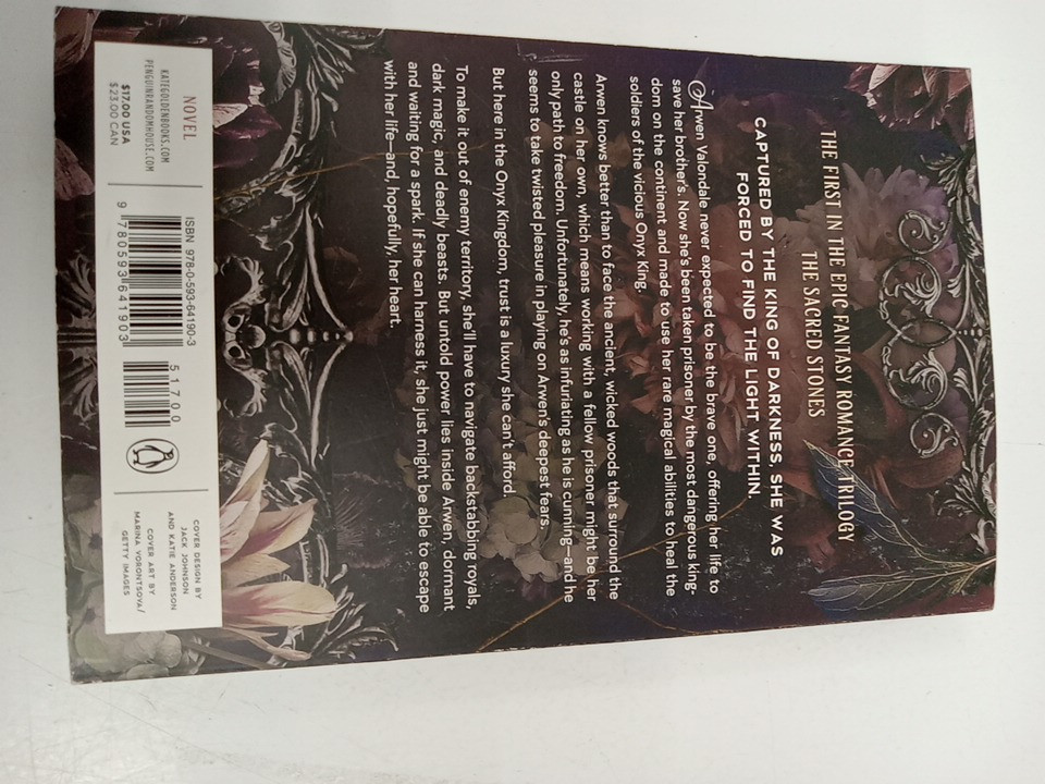 (Paperback) A Dawn of Onyx: A Novel (Book #1) by Kate Golden image 3
