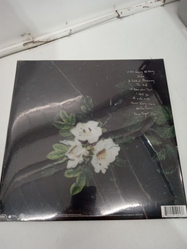 (1LP) Maggie Rogers "Don't Forget Me" Limited Edition Milk White Vinyl Record image 3