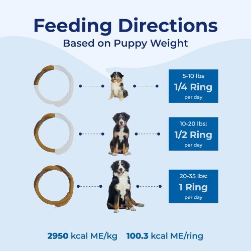 6PK N-Bone Puppy Teething Rings - Peanut Butter Flavor image 2