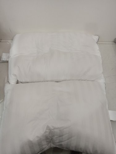 2PK Beautyrest Platinum Feather and Down Pillow-queen/standard-white image 2