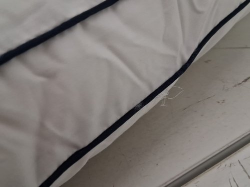 serta perfectsleeper pillow - STANDARD (18" x 26" x 2") - white image 4