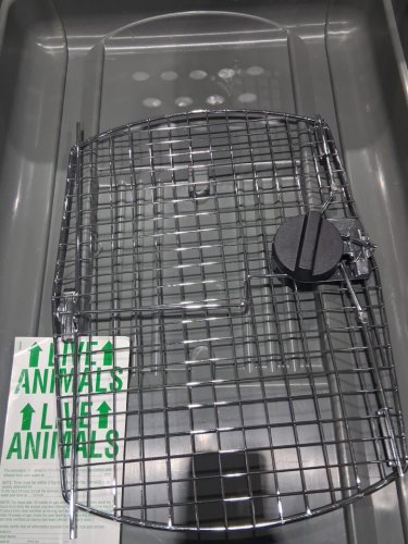 Petmate 00500 Sky Kennel for Pets from 70 to 90-Pound 40L, 20W, 30H - LIGHT GRAY image 5