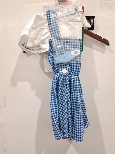 3PC girl's RUBIES WIDARD OF OZ DOROTHY COSTUME - SMALL (4-6) - BLUE AND WHITE image 3