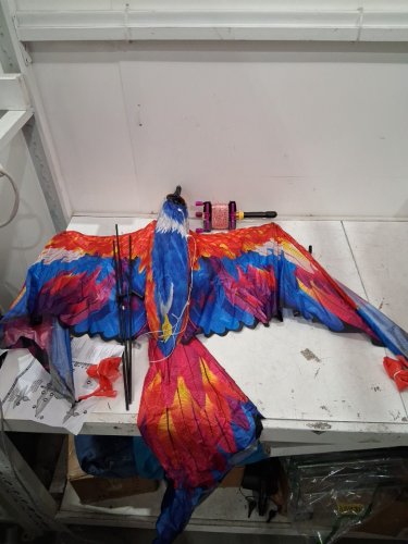 SKYTAILS parrot  NYLON KITE - 78" - MULTICOLORED (MODEL: 1375801) image 3