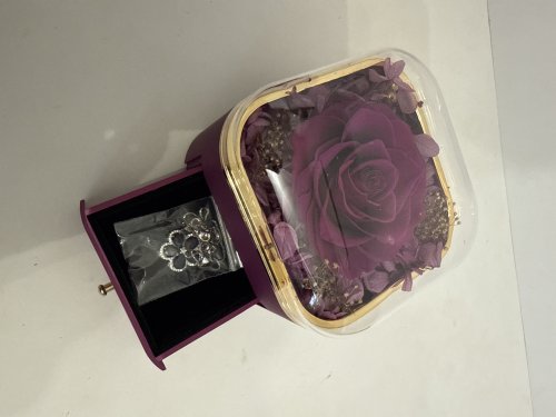 Preserved Rose Gift with Necklace, Eternal Flower Gift for Her - PURPLE image 3