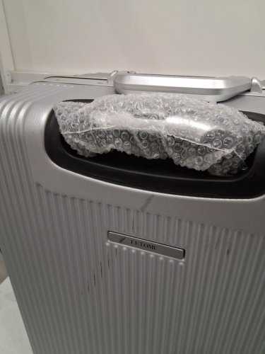 letome TSA Lock hardshell spinner luggage - 24" - silver (model: 1740657) image 3