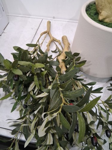 REALEAD ARTIFICIAL OLIVE TREE - 6FT - GREEN (MODEL: REJTGLSXP01-6FT) image 4