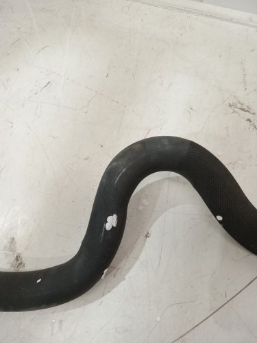 synergee super ez alloy steel curl bar - 45.5" - 20lbs bar weight - black (model: 810032232979) image 7