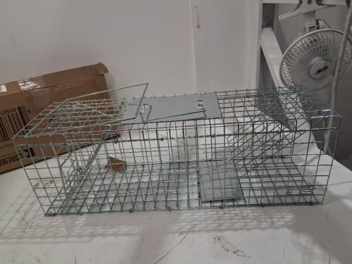 Coremaster Inc Live Animal Trap for Squirrels, Rats, Chipmunks - 24" - Galvanized Steel - (Model: LT234) image 3