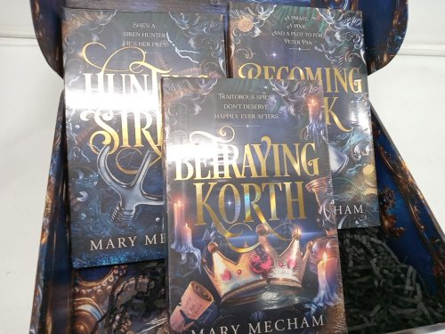 Legends of Neverland Deluxe Kickstarter Box Set with 3 books, Keychain, stickers, and art prints by Mary Mecham image 5