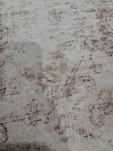 vintage style low-pile area rug - 8ftx10ft - beige (model: bw8013p1a) image 4