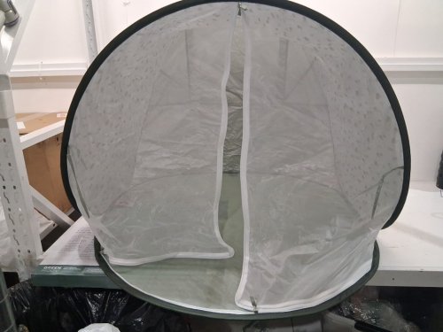 Babymoov Anti-UV baby & toddler pop-up tent - 33.5"x38.6"x35.4" - Provence Green (model: A038218_US) image 4