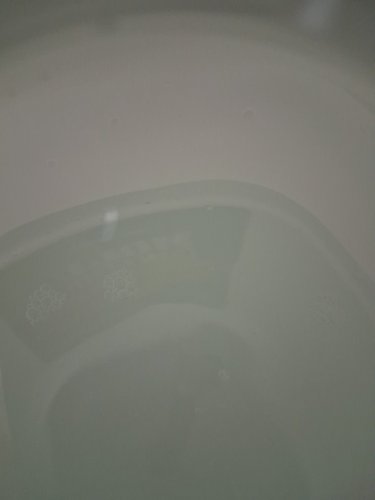 CoNCROBIUM mold control - eliminates & prevents mold & mildew - ~3.8L image 3